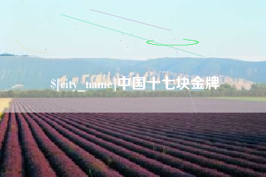 新乡中国十七块金牌