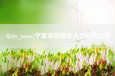 新乡宁夏消防报名入口官网公告