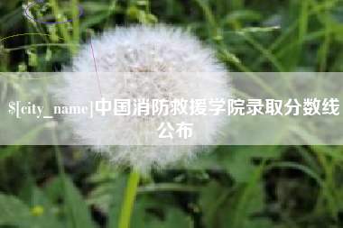 新乡中国消防救援学院录取分数线公布