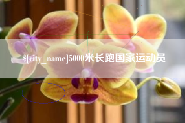 新乡5000米长跑国家运动员