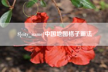 新乡中国地图格子画法
