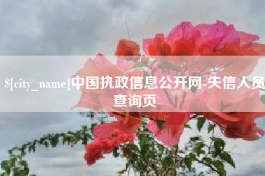 新乡中国执政信息公开网-失信人员查询页