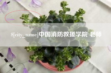 新乡中国消防救援学院 老师