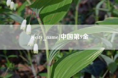 新乡中国第9金