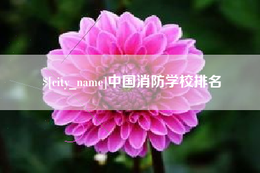 新乡中国消防学校排名