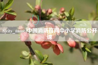 新乡中国消防官网中小学消防公开课