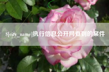 新乡执行信息公开网查到的案件