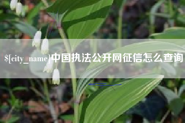 新乡中国执法公开网征信怎么查询