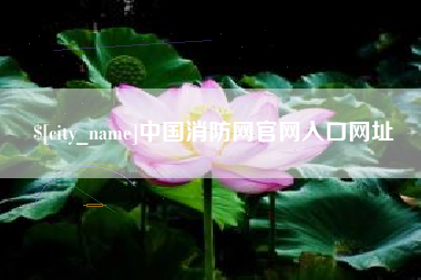 新乡中国消防网官网入口网址