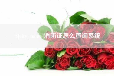 新乡消防证怎么查询系统