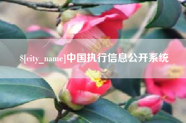 新乡中国执行信息公开系统
