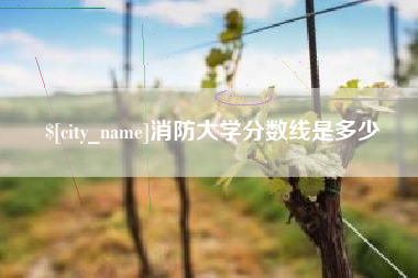 新乡消防大学分数线是多少