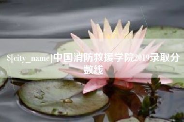 新乡中国消防救援学院2019录取分数线