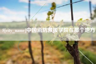 新乡中国消防救援学院在那个地方