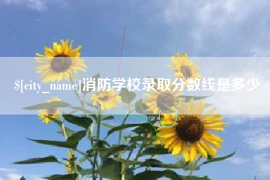 新乡消防学校录取分数线是多少
