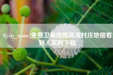 新乡免费卫星地图高清村庄地图看到人实时下载