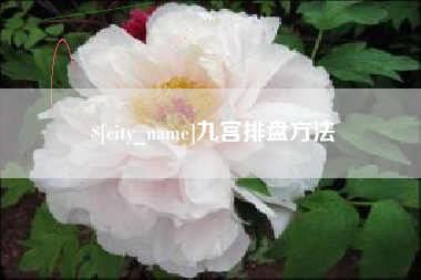 新乡九宫排盘方法