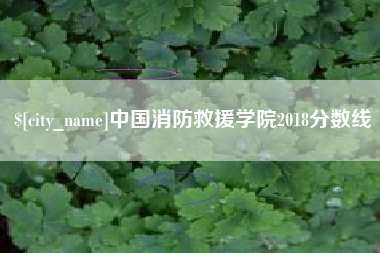 新乡中国消防救援学院2018分数线