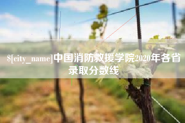 新乡中国消防救援学院2020年各省录取分数线