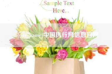 新乡中国执行网信息官网