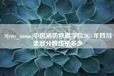 新乡中国消防救援学院2021年四川录取分数线是多少