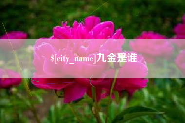 新乡九金是谁
