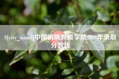 新乡中国消防救援学院2019年录取分数线