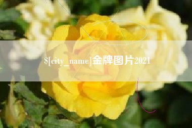 新乡金牌图片2021