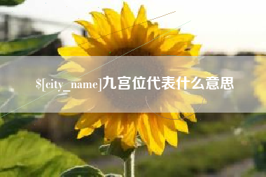 新乡九宫位代表什么意思