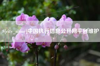 新乡中国执行信息公开网平台维护