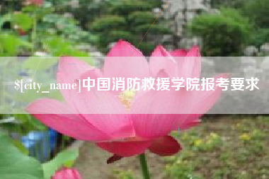 新乡中国消防救援学院报考要求
