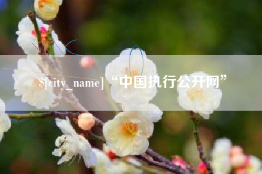 新乡“中国执行公开网”
