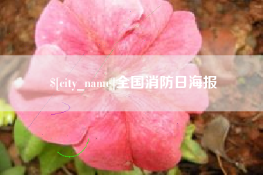 新乡全国消防日海报