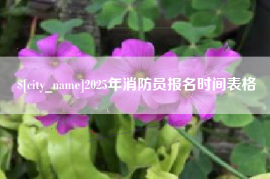 新乡2025年消防员报名时间表格