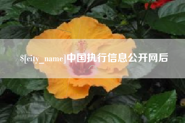 新乡中国执行信息公开网后