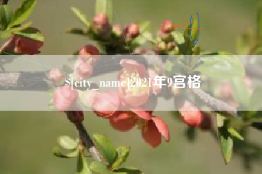 新乡2021年9宫格