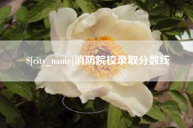新乡消防院校录取分数线