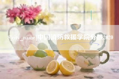 新乡中国消防救援学院分数2020