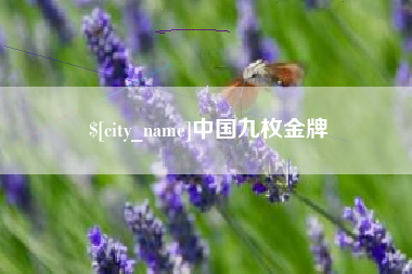 新乡中国九枚金牌