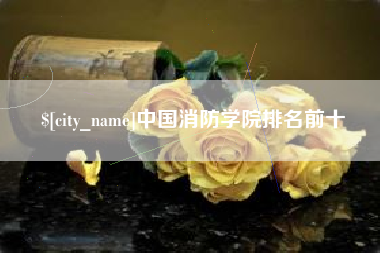 新乡中国消防学院排名前十