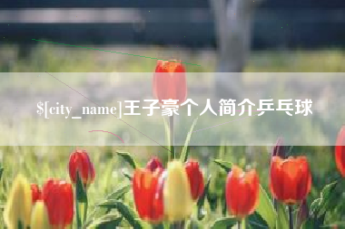 新乡王子豪个人简介乒乓球