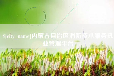 新乡内蒙古自治区消防技术服务执业管理平台