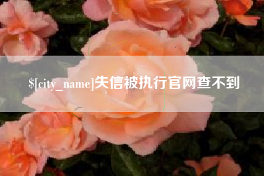 新乡失信被执行官网查不到