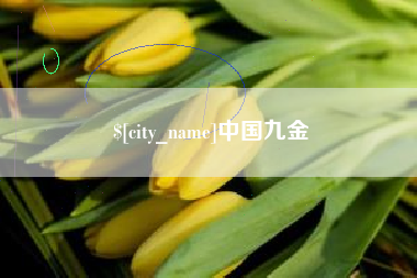 新乡中国九金