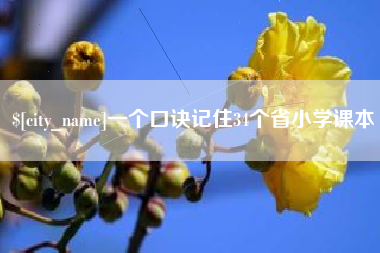 新乡一个口诀记住34个省小学课本