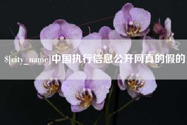 新乡中国执行信息公开网真的假的