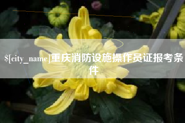 新乡重庆消防设施操作员证报考条件