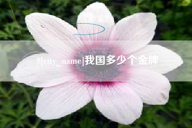 新乡我国多少个金牌