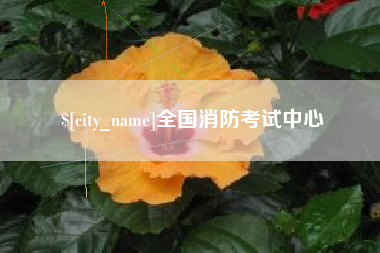 新乡全国消防考试中心