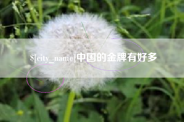 新乡中国的金牌有好多
